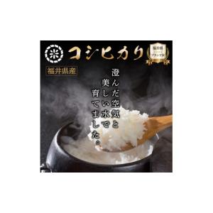 ふるさと納税 米 コシヒカリ 福井県 敦賀市 ...の詳細画像2