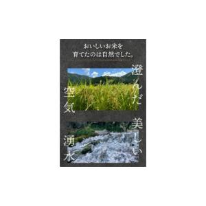 ふるさと納税 米 コシヒカリ 福井県 敦賀市 ...の詳細画像3