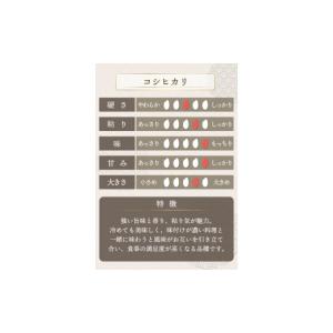 ふるさと納税 米 コシヒカリ 福井県 敦賀市 ...の詳細画像5