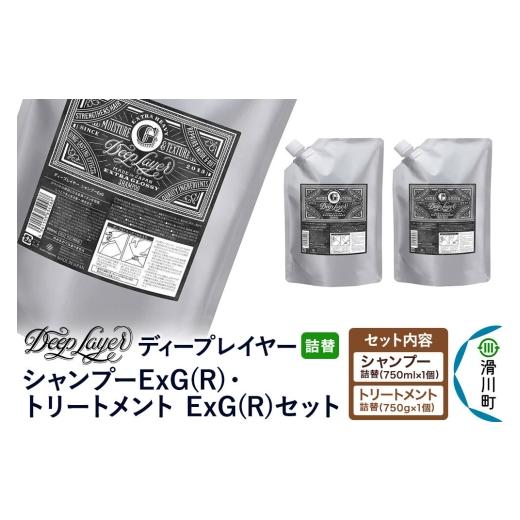 ふるさと納税 雑貨・日用品 埼玉県 滑川町 DeepLayer ディープレイヤー シャンプー ExG...