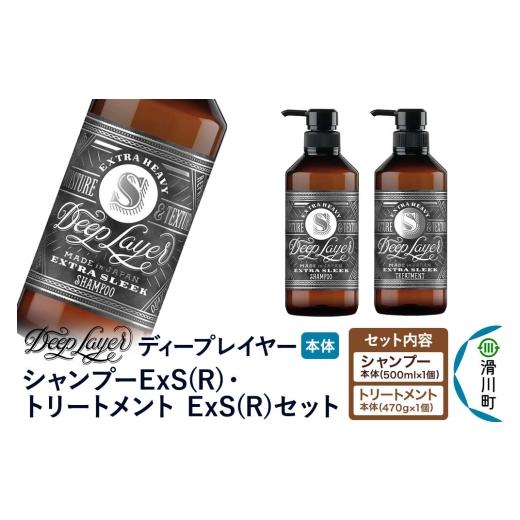 ふるさと納税 雑貨・日用品 埼玉県 滑川町 DeepLayer ディープレイヤー シャンプー ExS...