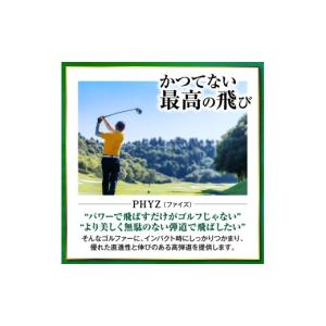 ふるさと納税 ゴルフグッズ ボール 千葉県 市...の詳細画像3