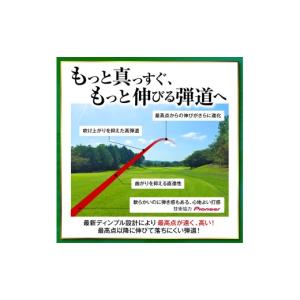 ふるさと納税 ゴルフグッズ ボール 千葉県 市...の詳細画像4