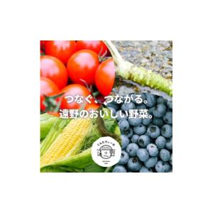 ふるさと納税 味噌 岩手県 遠野市 毎月定期便...の詳細画像2