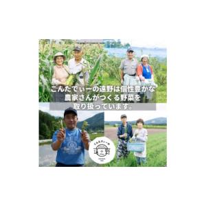 ふるさと納税 味噌 岩手県 遠野市 毎月定期便...の詳細画像4