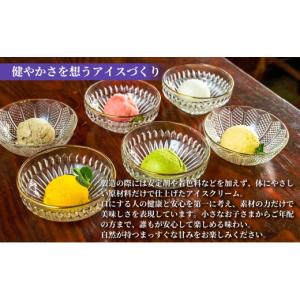 ふるさと納税 菓子 アイス 高知県 安芸市 山...の詳細画像4
