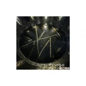 ふるさと納税 電化製品 富山県 富山市 戸田式...の詳細画像3