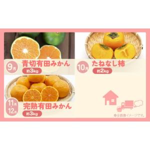 ふるさと納税 もも 和歌山県 日高町 わかやま...の詳細画像4