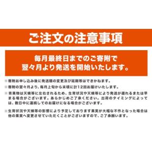 ふるさと納税 もも 和歌山県 日高町 わかやま...の詳細画像5