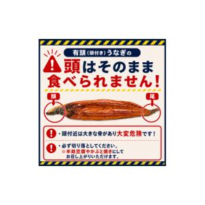 ふるさと納税 加工品等 高知県 南国市 12回...の詳細画像5