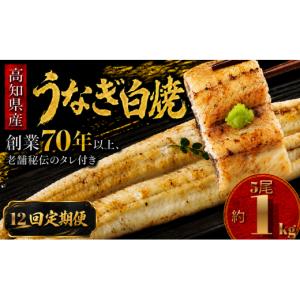 ふるさと納税 加工品等 高知県 南国市 12回...の詳細画像1