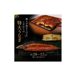 ふるさと納税 加工品等 高知県 南国市 6回 ...の詳細画像2