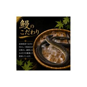 ふるさと納税 加工品等 高知県 南国市 3回 ...の詳細画像3