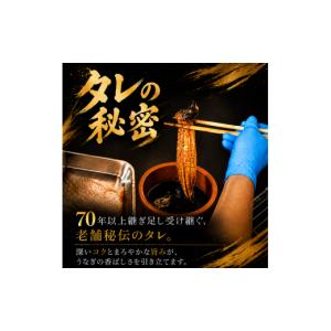 ふるさと納税 加工品等 高知県 南国市 3回 ...の詳細画像4