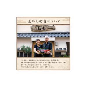 ふるさと納税 加工品等 高知県 南国市 12回...の詳細画像5