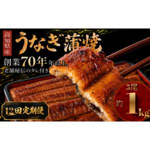ふるさと納税 加工品等 高知県 南国市 12回...の詳細画像1