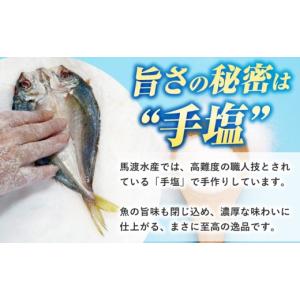 ふるさと納税 魚貝類 長崎県 壱岐市 訳あり ...の詳細画像5