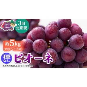 ふるさと納税 果物類 ぶどう 茨城県 つくばみらい市 定期便 3か月連続でお届け ピオーネ 約5kg （約8〜12房） 2026年8月より発送開始 （茨城県共通返礼品 ぶ…