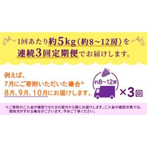 ふるさと納税 果物類 ぶどう 茨城県 つくばみ...の詳細画像5