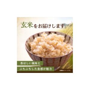ふるさと納税 米 コシヒカリ 茨城県 ひたちな...の詳細画像2