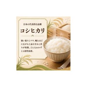 ふるさと納税 米 コシヒカリ 茨城県 ひたちな...の詳細画像4