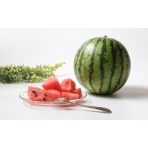 ふるさと納税 果物の詰合せ 山形県 - 定期便...の詳細画像4