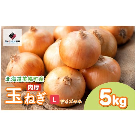 ふるさと納税 野菜類 玉ねぎ 北海道 美幌町  2026年10月上旬以降発送 美幌産 たまねぎ Lサ...