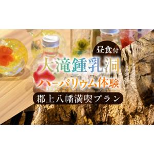 ふるさと納税 入場券・優待券 岐阜県 郡上市 ...の詳細画像1