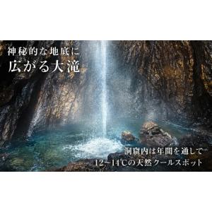 ふるさと納税 入場券・優待券 岐阜県 郡上市 ...の詳細画像2
