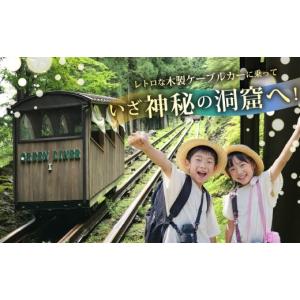 ふるさと納税 入場券・優待券 岐阜県 郡上市 ...の詳細画像3