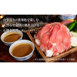 ふるさと納税 入場券・優待券 岐阜県 郡上市 ...の詳細画像4
