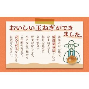 ふるさと納税 野菜類 玉ねぎ 北海道 旭川市 ...の詳細画像4