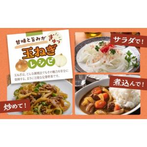 ふるさと納税 野菜類 玉ねぎ 北海道 旭川市 ...の詳細画像5