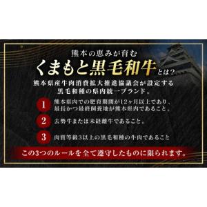 ふるさと納税 牛肉 ステーキ 熊本県 八代市 ...の詳細画像2