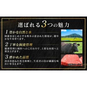 ふるさと納税 牛肉 ステーキ 熊本県 八代市 ...の詳細画像3