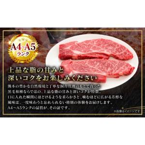 ふるさと納税 牛肉 ステーキ 熊本県 八代市 ...の詳細画像5