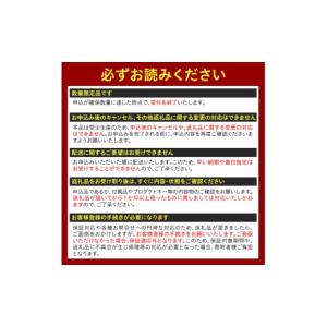 ふるさと納税 パソコン・周辺機器 山形県 米沢...の詳細画像4