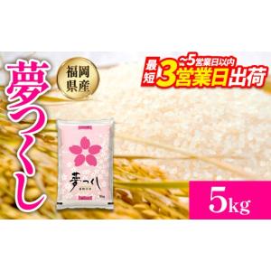ふるさと納税 米 福岡県 赤村 数量限定 令和7年産 夢つくし(精米) 福岡
