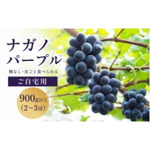 ふるさと納税 果物類 ぶどう 岡山県 真庭市 ナガノパープル 2026年先行予約 除草剤不使用 家庭用 2〜3房 900g以上｜ ぶどう 葡萄 果物 岡山県産 送料無料 ギフ…