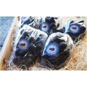 ふるさと納税 果物類 ぶどう 岡山県 真庭市 ...の詳細画像3
