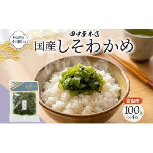 ふるさと納税 のり・海藻 わかめ 神奈川県 小田原市 しそわかめ 100g×4袋 田中屋本店佃煮 わかめ 国産 茎わかめ しそ 紫蘇 ご飯のお供 おにぎり お茶漬け 惣…
