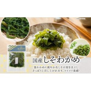 ふるさと納税 のり・海藻 わかめ 神奈川県 小...の詳細画像2