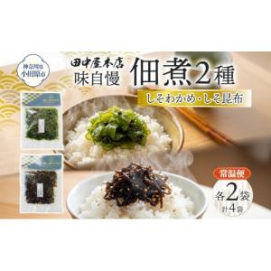 ふるさと納税 のり・海藻 わかめ 神奈川県 小...の詳細画像1