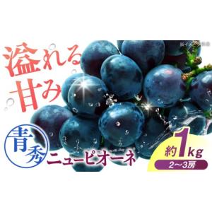 ふるさと納税 果物類 ぶどう 広島県 三次市 先行予約 ニューピオーネ 青秀（約1kg／2から3房／露地栽培） 9月上旬頃から順次発送 ブドウ 葡萄 budou マスマッ…
