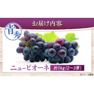 ふるさと納税 果物類 ぶどう 広島県 三次市 ...の詳細画像4