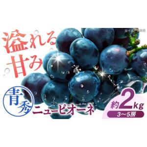ふるさと納税 果物類 ぶどう 広島県 三次市 ...の詳細画像1