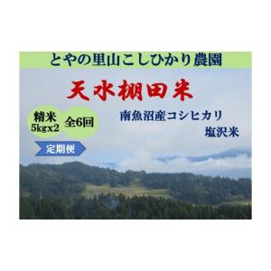 ふるさと納税 米 コシヒカリ 新潟県 南魚沼市 令和8年産新米予約定期便 天水棚田米 特別栽培米雪蔵熟成塩沢産コシヒカリ精米10kg6回「とやの里山継承プロジェ…