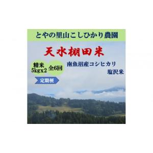 ふるさと納税 米 コシヒカリ 新潟県 南魚沼市...の詳細画像1