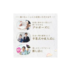 ふるさと納税 花・苗木 花束 北海道 石狩市 ...の詳細画像4