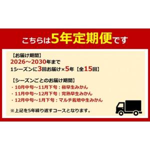 ふるさと納税 果物類 みかん 和歌山県 有田川...の詳細画像2